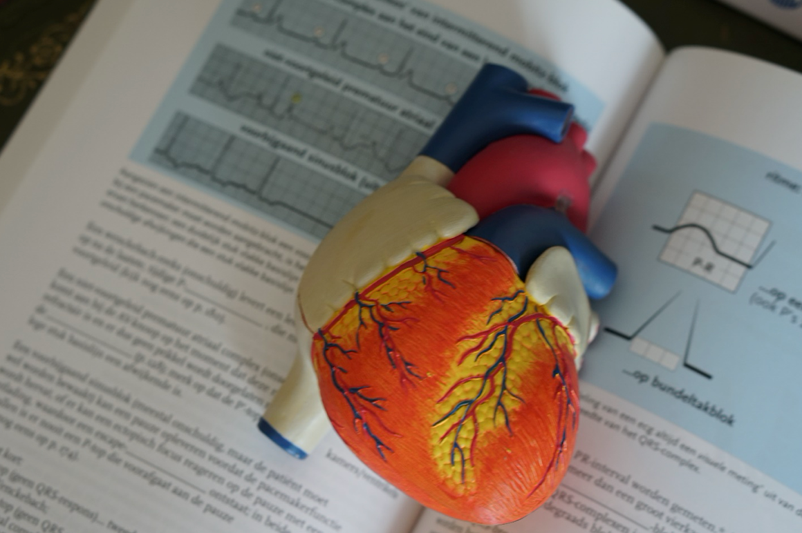How To Meal Prep To Reduce Your High Blood Pressure