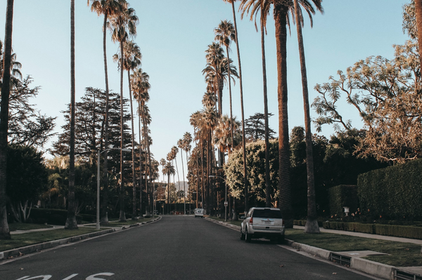 Here’s Why Meal Prepping Is Taking Los Angeles By Storm