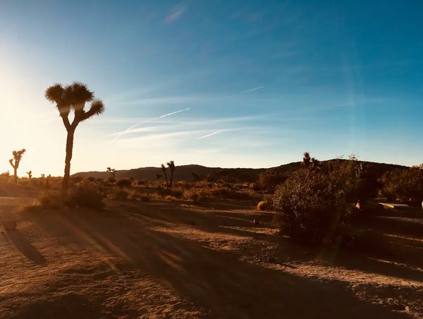 The Healthiest Meal Plans in California’s High Desert