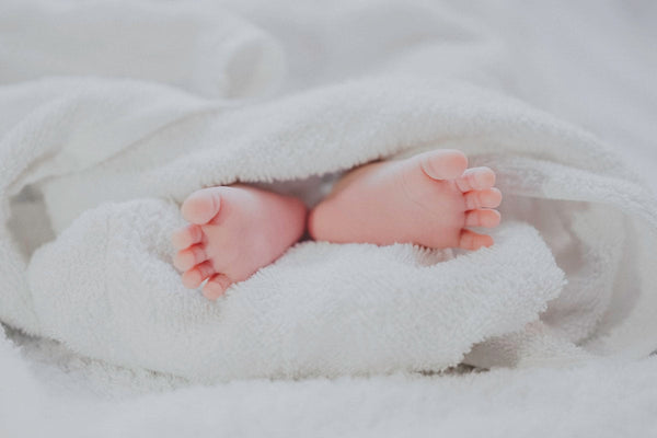 Meal Prep Delivery for New Parents in Southern California in 2026