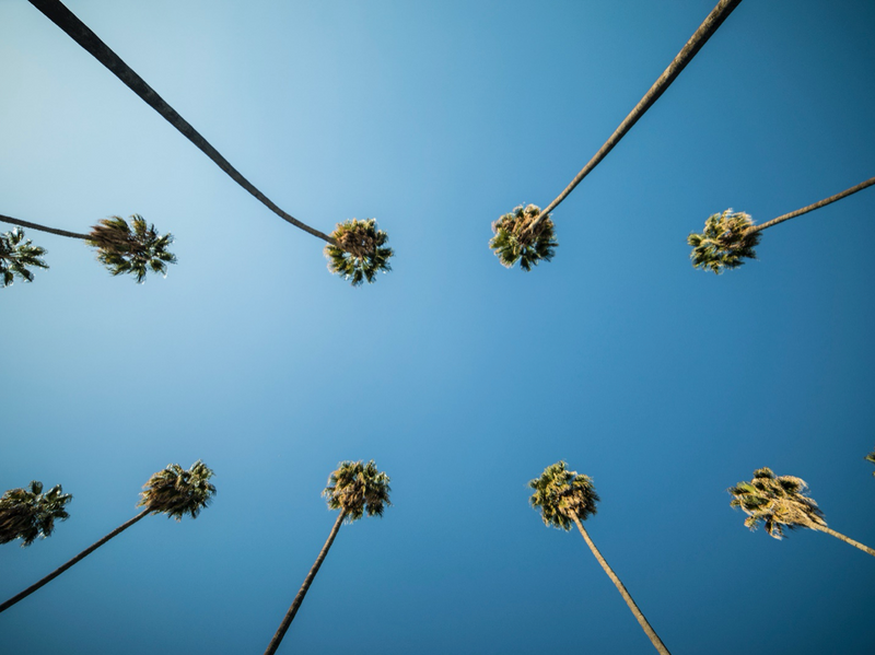 Here’s Why Los Angeles Locals Should Be Using a Meal Prep Delivery Service