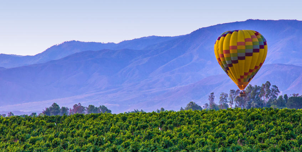 5 Things to do in Temecula
