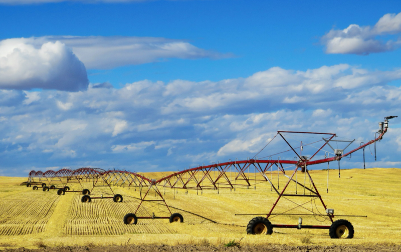 Meal Prep To Save the Planet