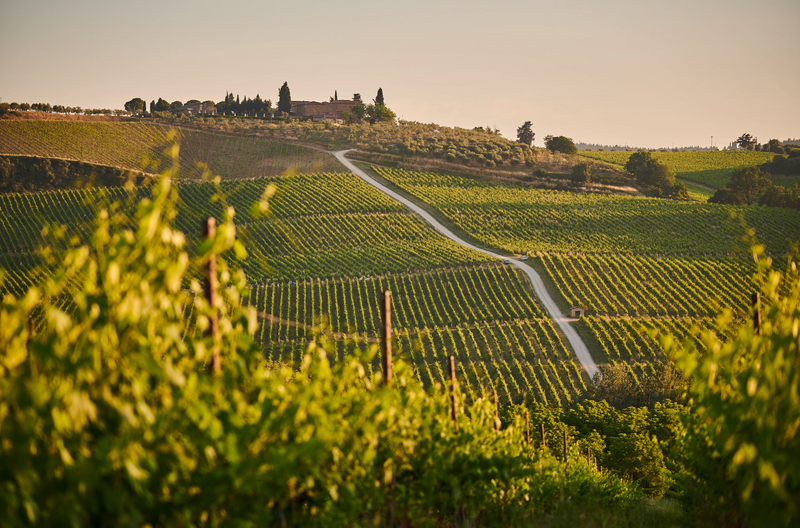 Everything You Need to Know About Choosing Meal Prep Services in Temecula